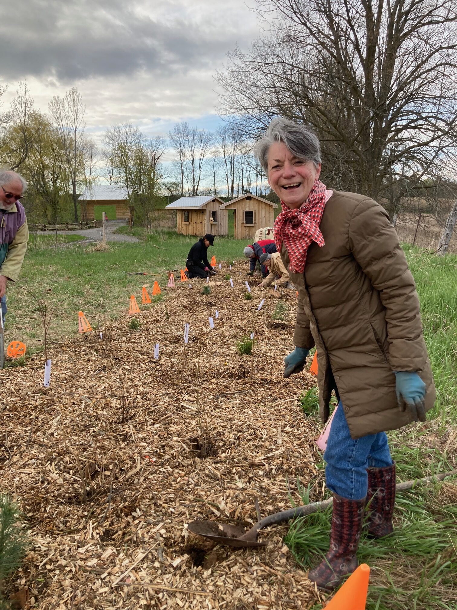 Sustainabiltiy Team planting tree garden
